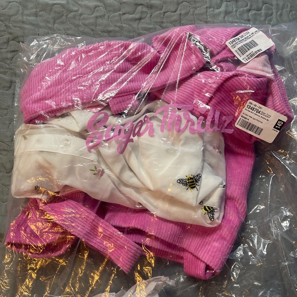 Dolls Kill plus size Bee Kind Corduroy Pinafore Set